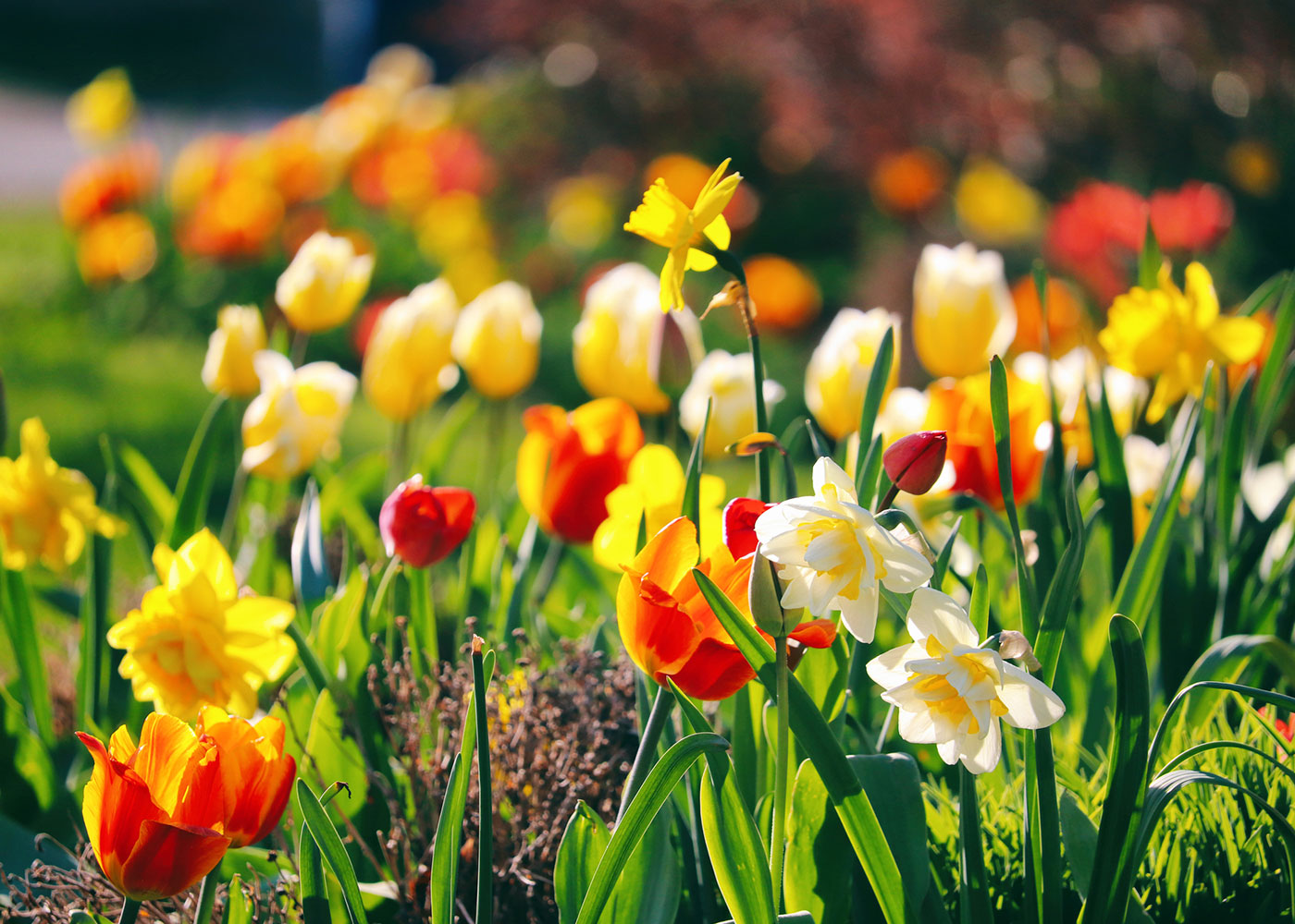 Spring Cleaning Your Finances Thumbnail
